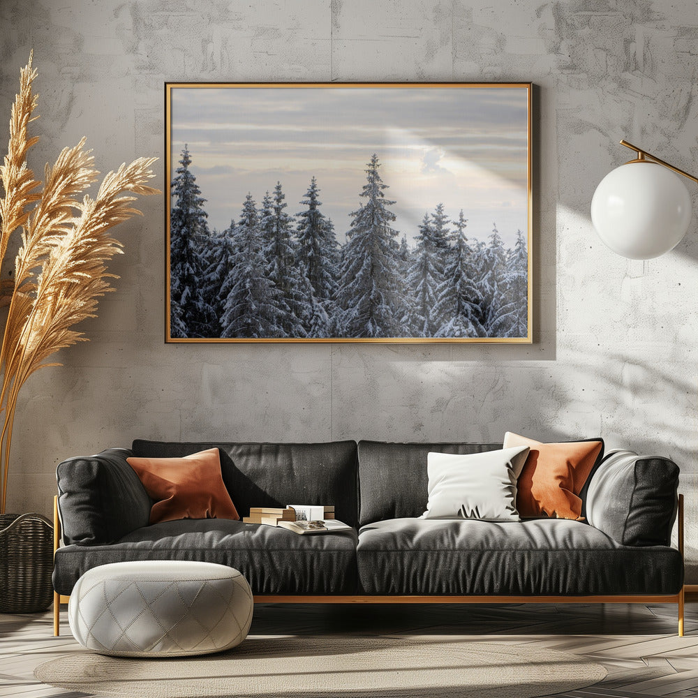Snow Covered Trees 8 | Canvas