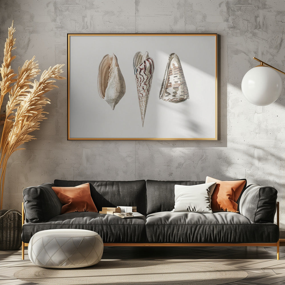 Three Mollusks Crop | Canvas
