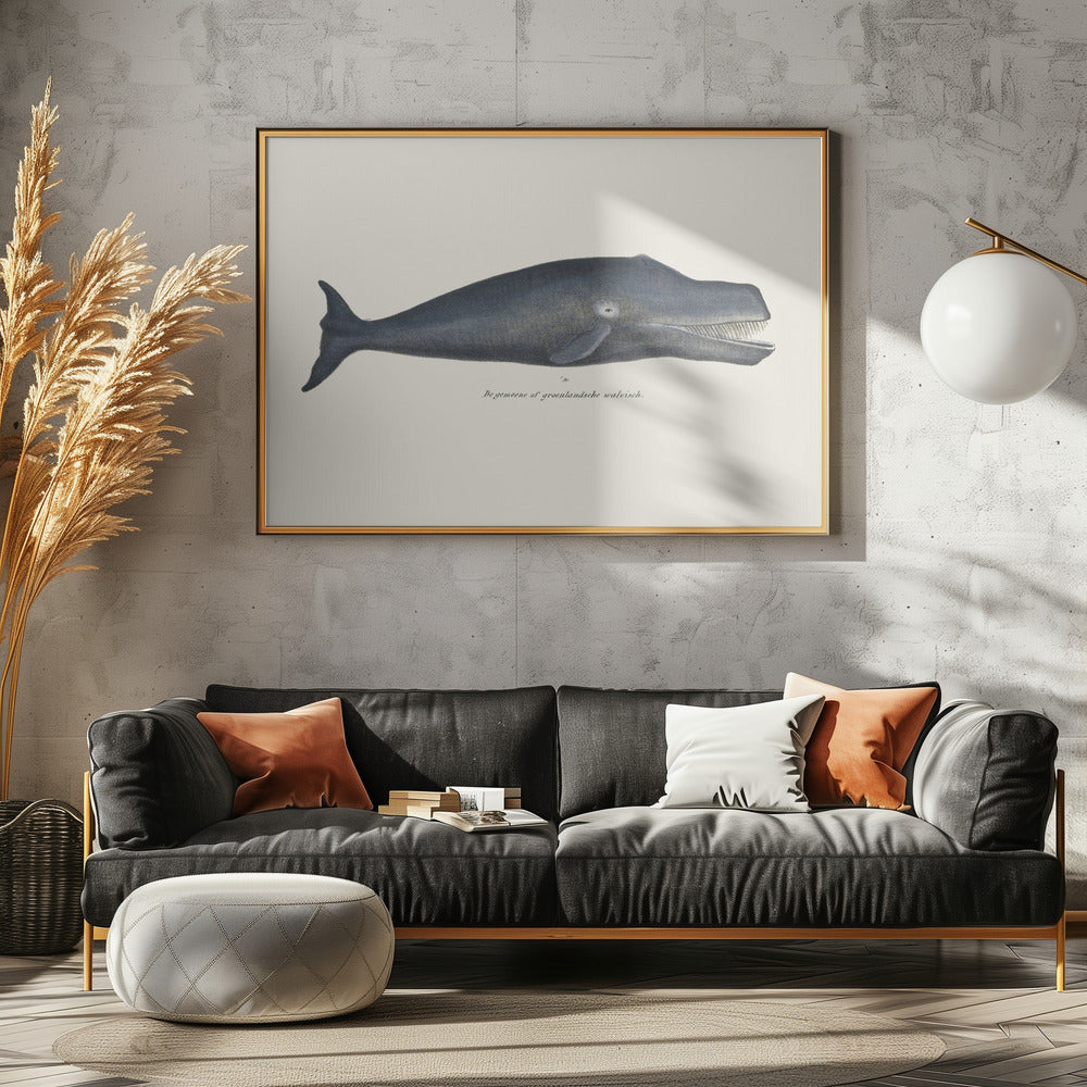 Whale I Antique Handcolored Sealife Lithograph 1824 | Canvas