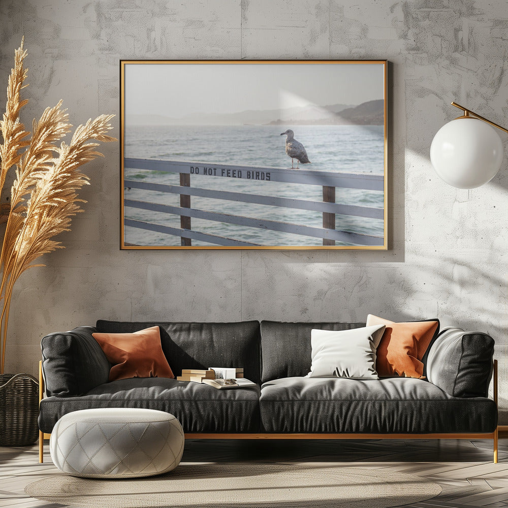 Do not feed birds | Canvas