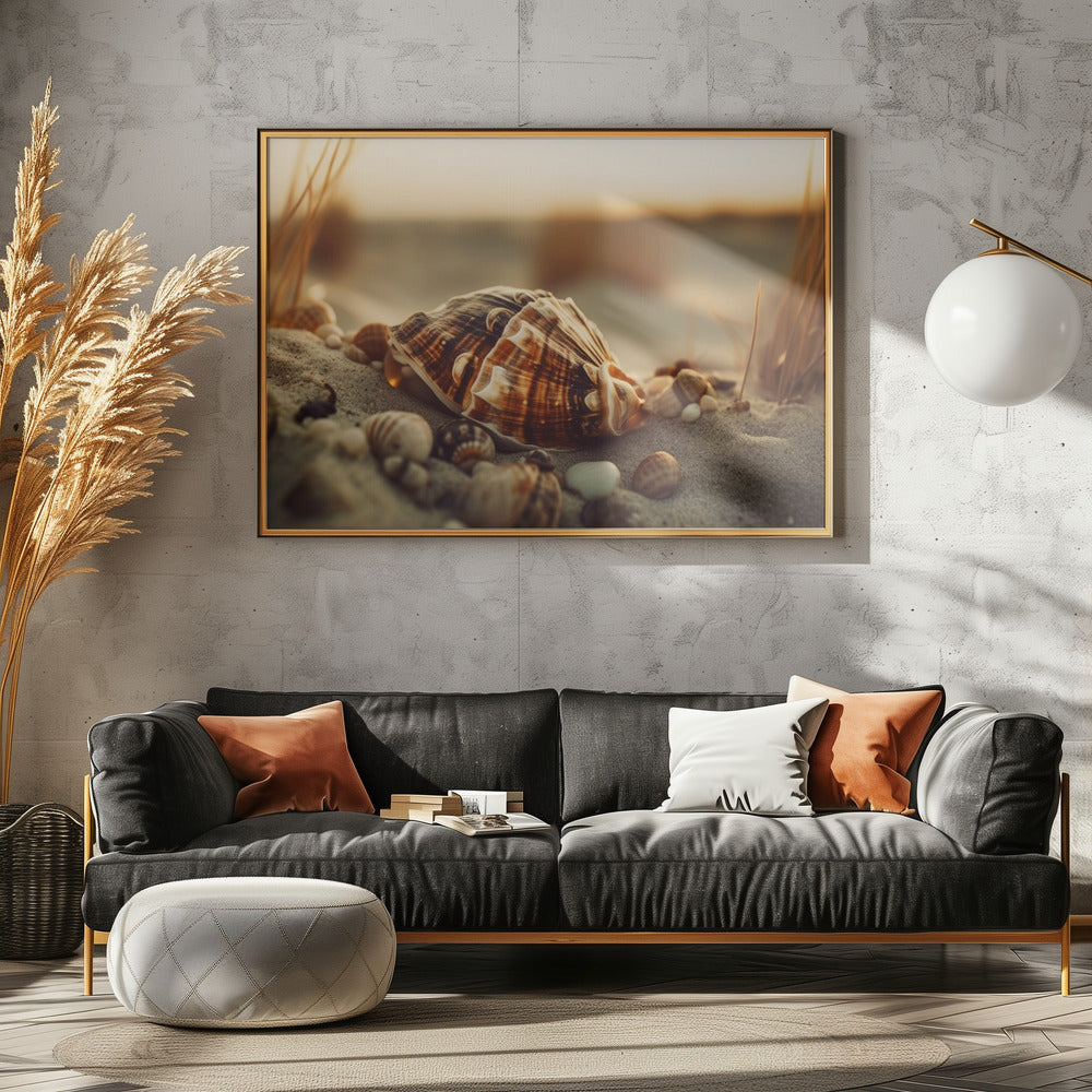 Shells at Sunset | Canvas