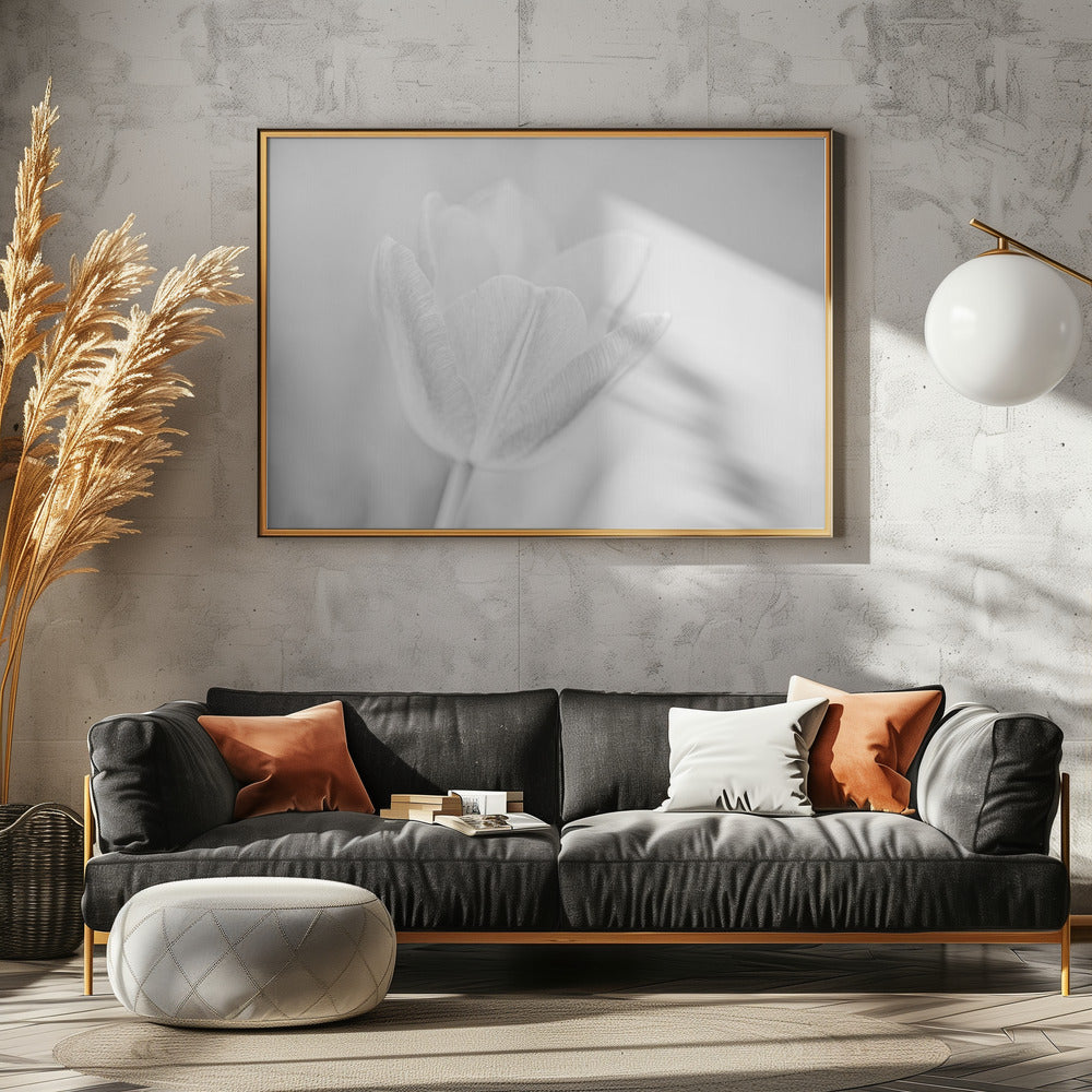 Soft | Poster