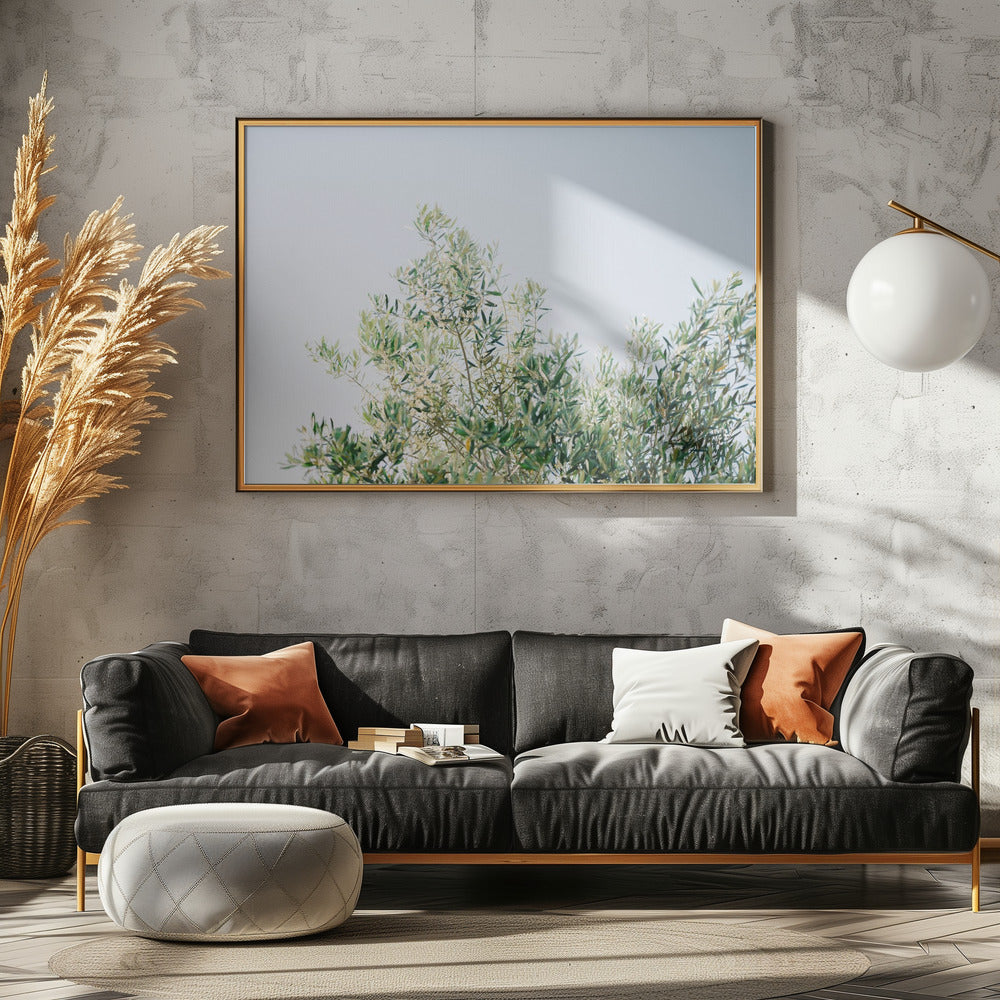 Olives In Ostuni | Italy Travel Photography | Canvas