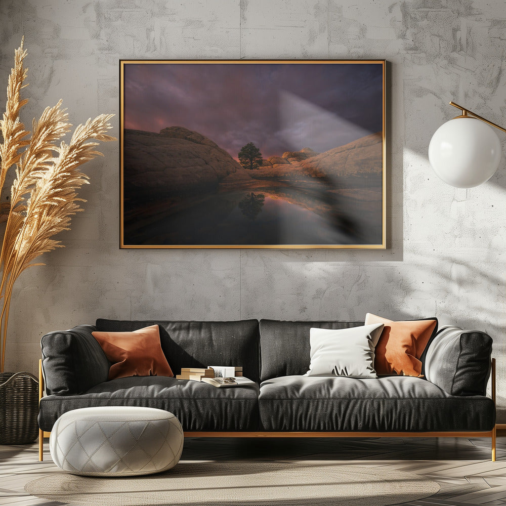 Morning Light | Poster