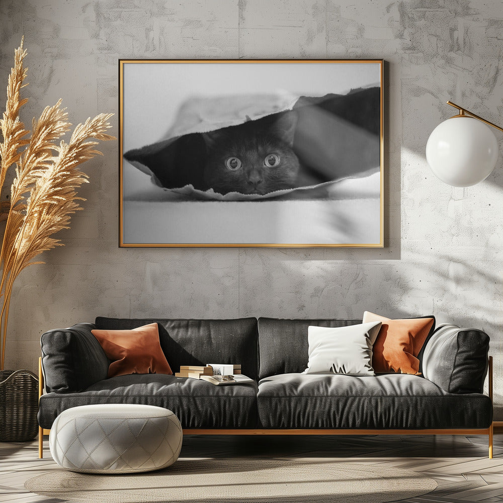 Cat in a bag | Canvas