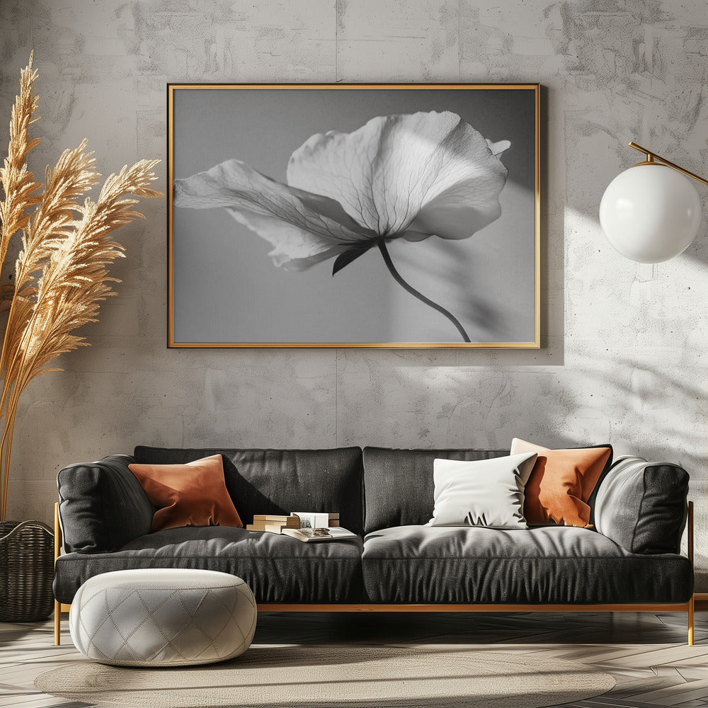 Delicate Petal Dance | Canvas