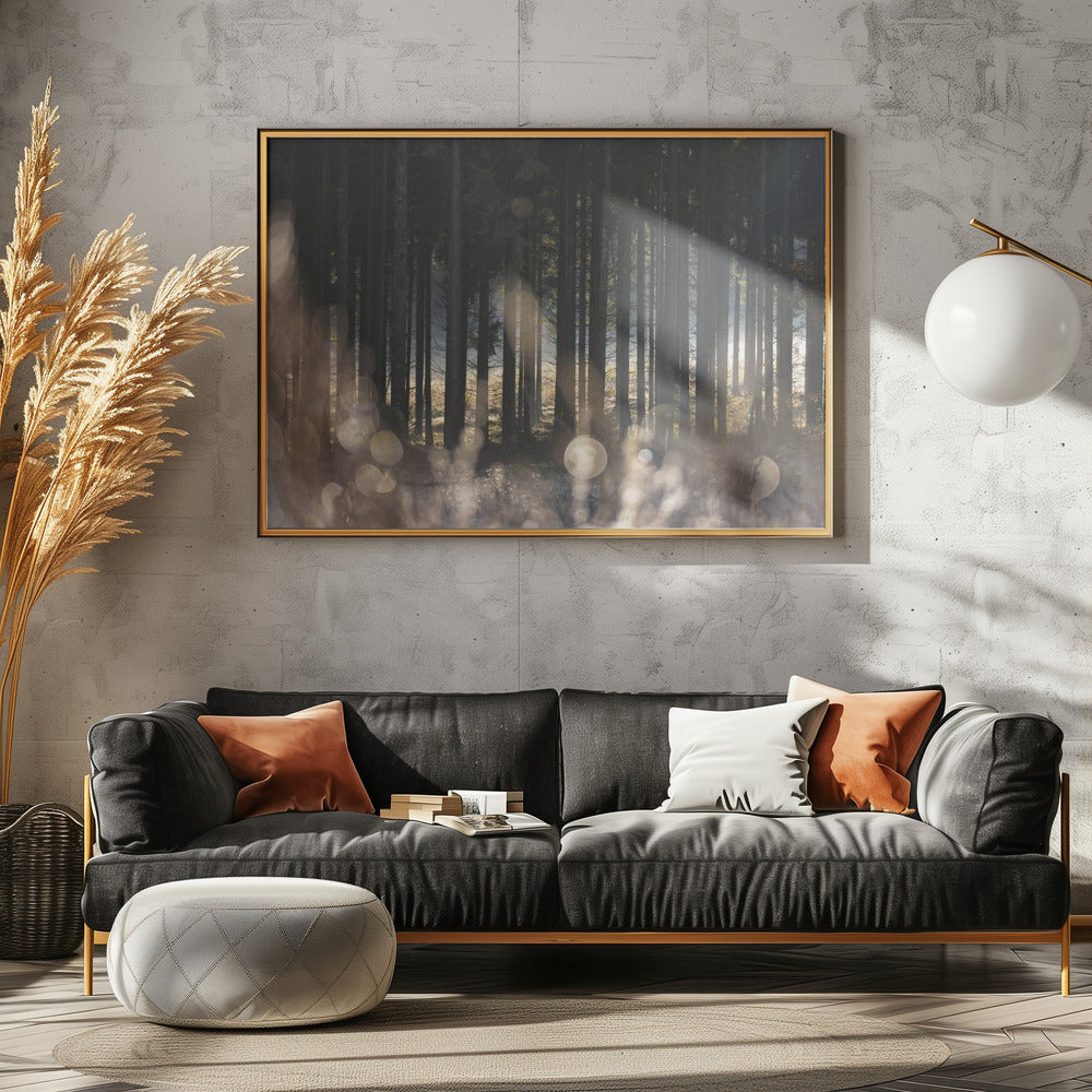 Forest Glow 1 | Canvas