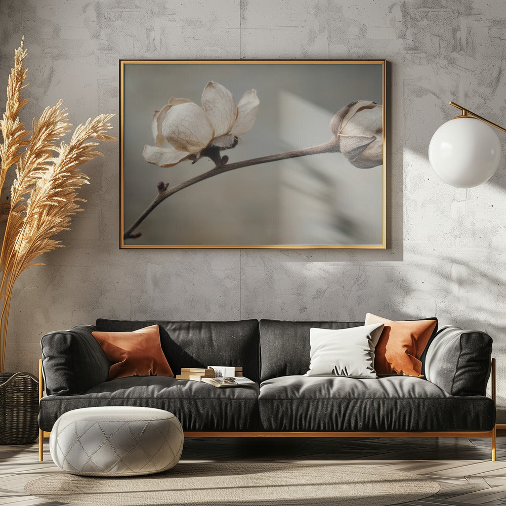 Delicate Petals | Poster
