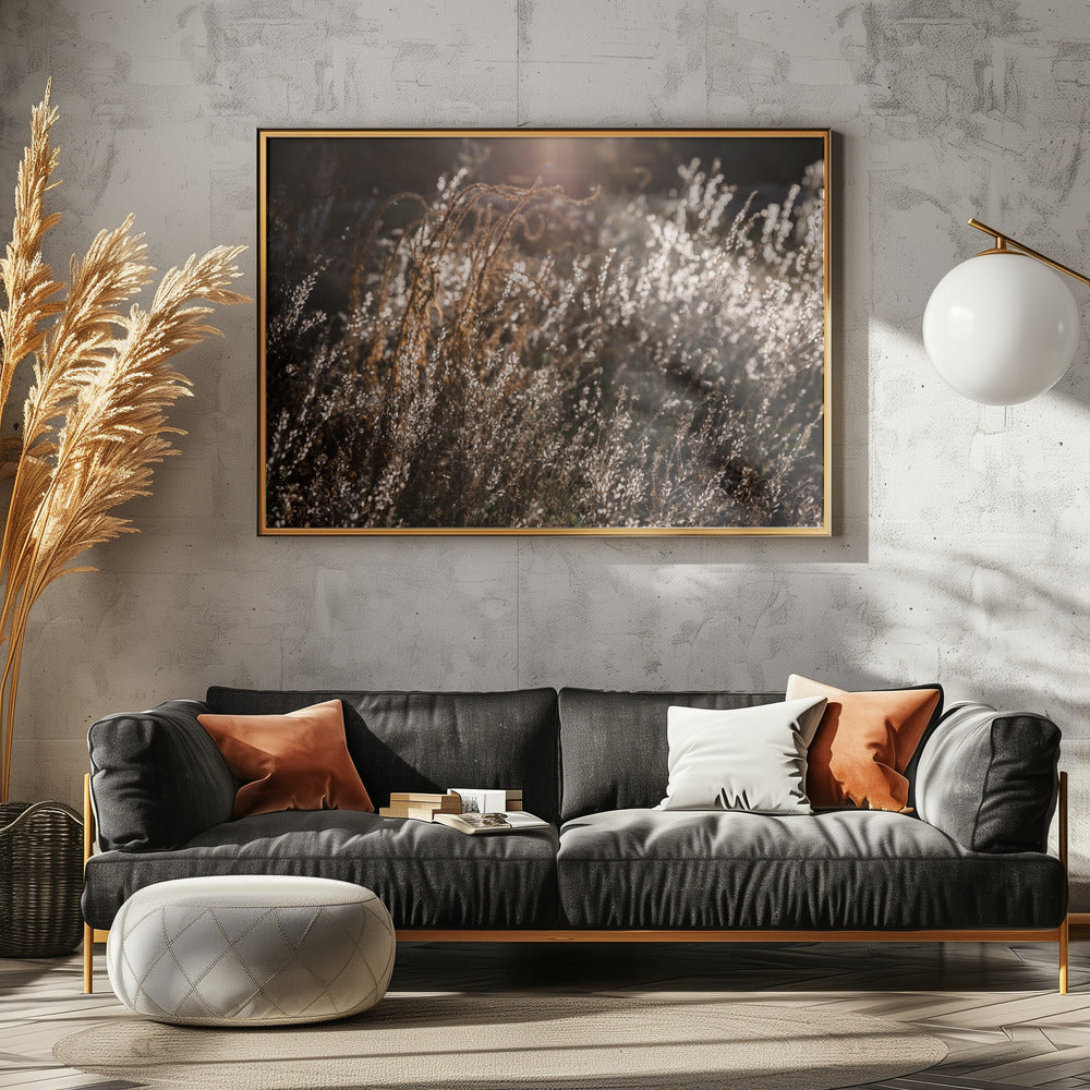 Warm Winter Light 4 | Canvas