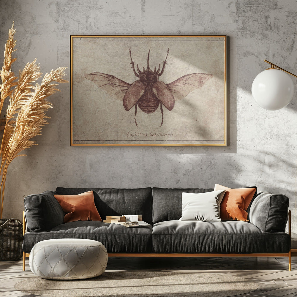 Eupatorus Gracilicornis Copy | Canvas