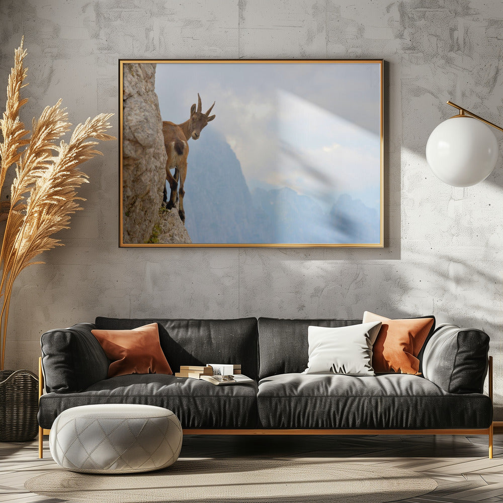 Suspense | Canvas