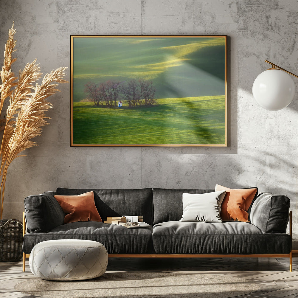 Fields... | Canvas