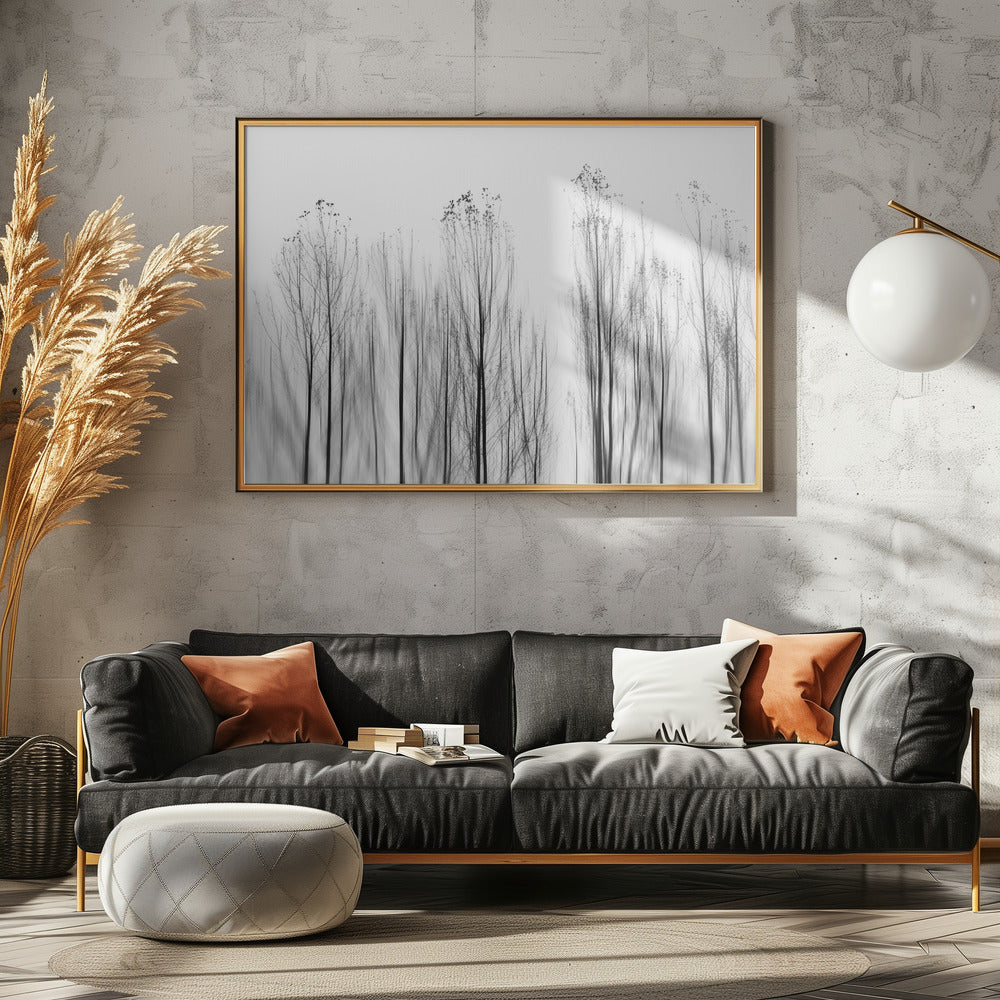 No Grounds | Canvas