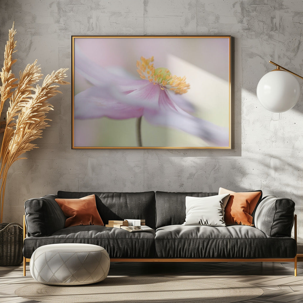 Japanese Anemone | Canvas