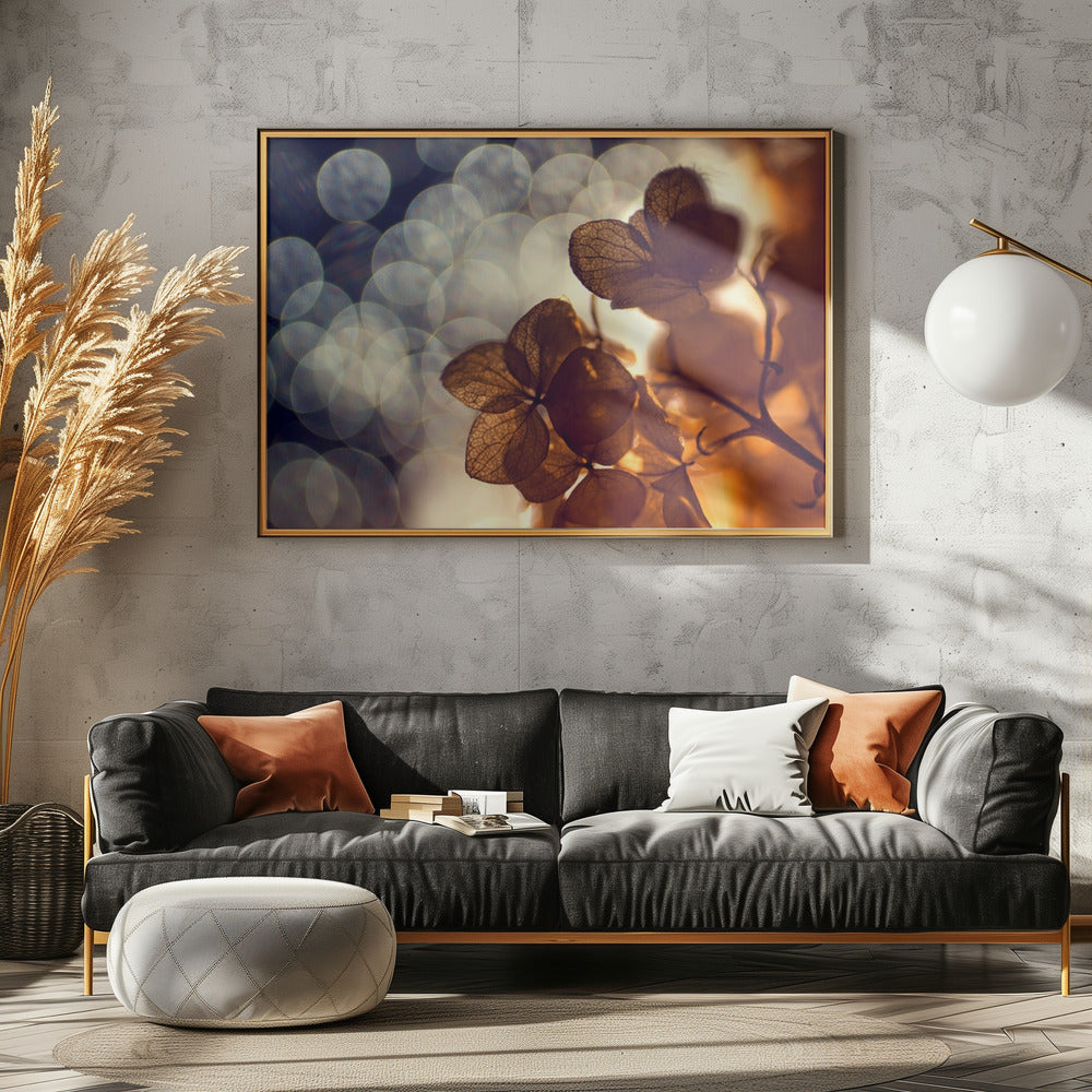 .:.:.** | Canvas