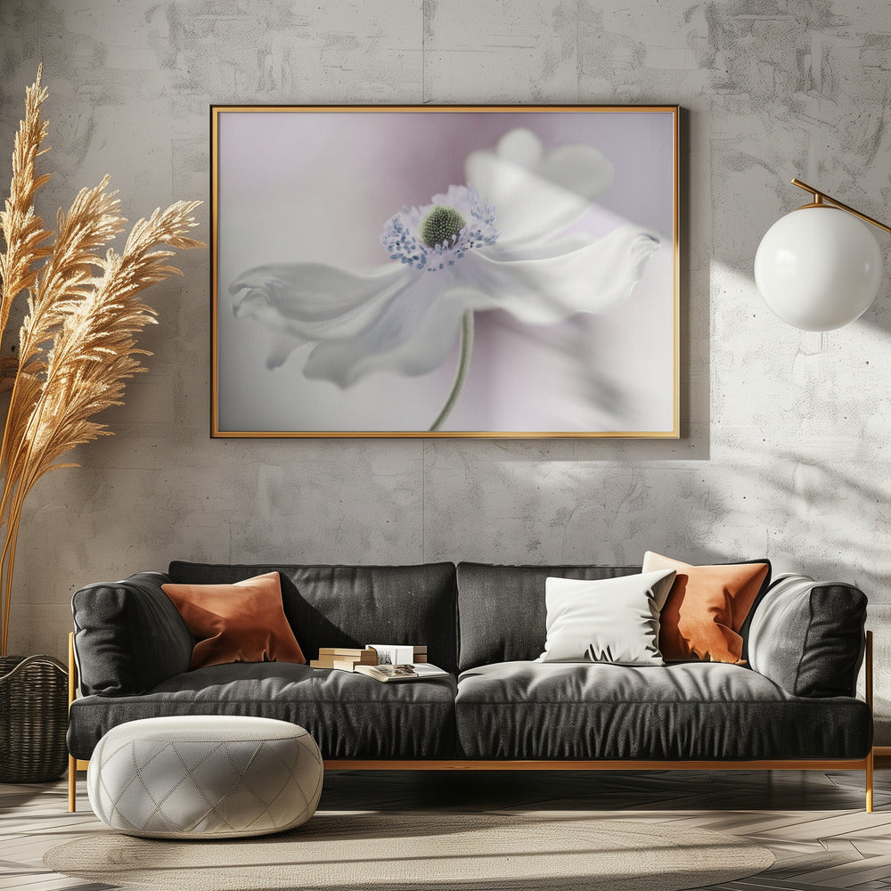 Anemone breeze | Canvas