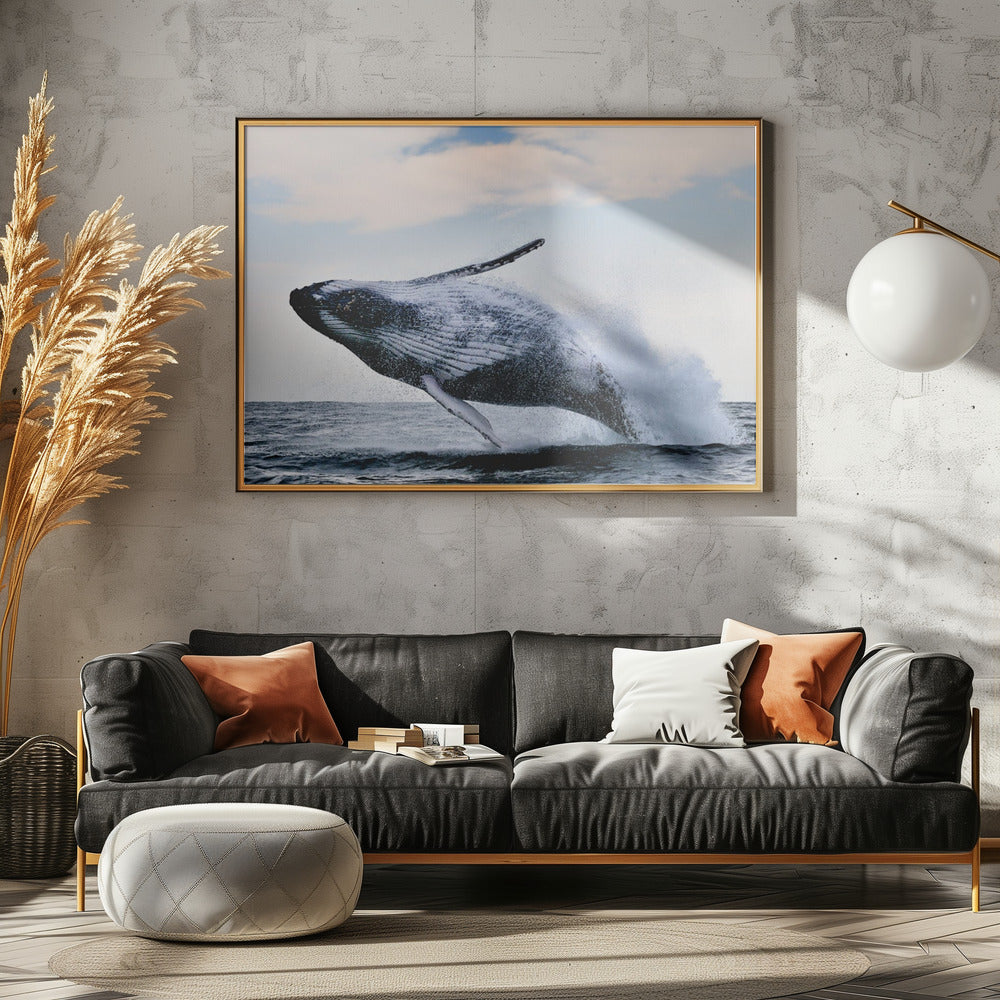 breach | Canvas