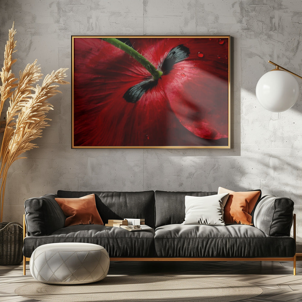 Papaver passion | Canvas