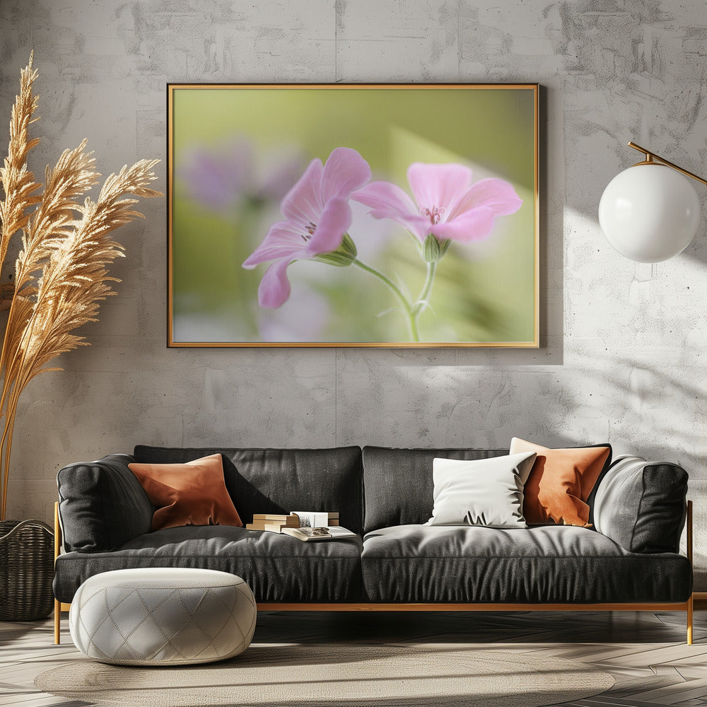 Pink Melody | Canvas