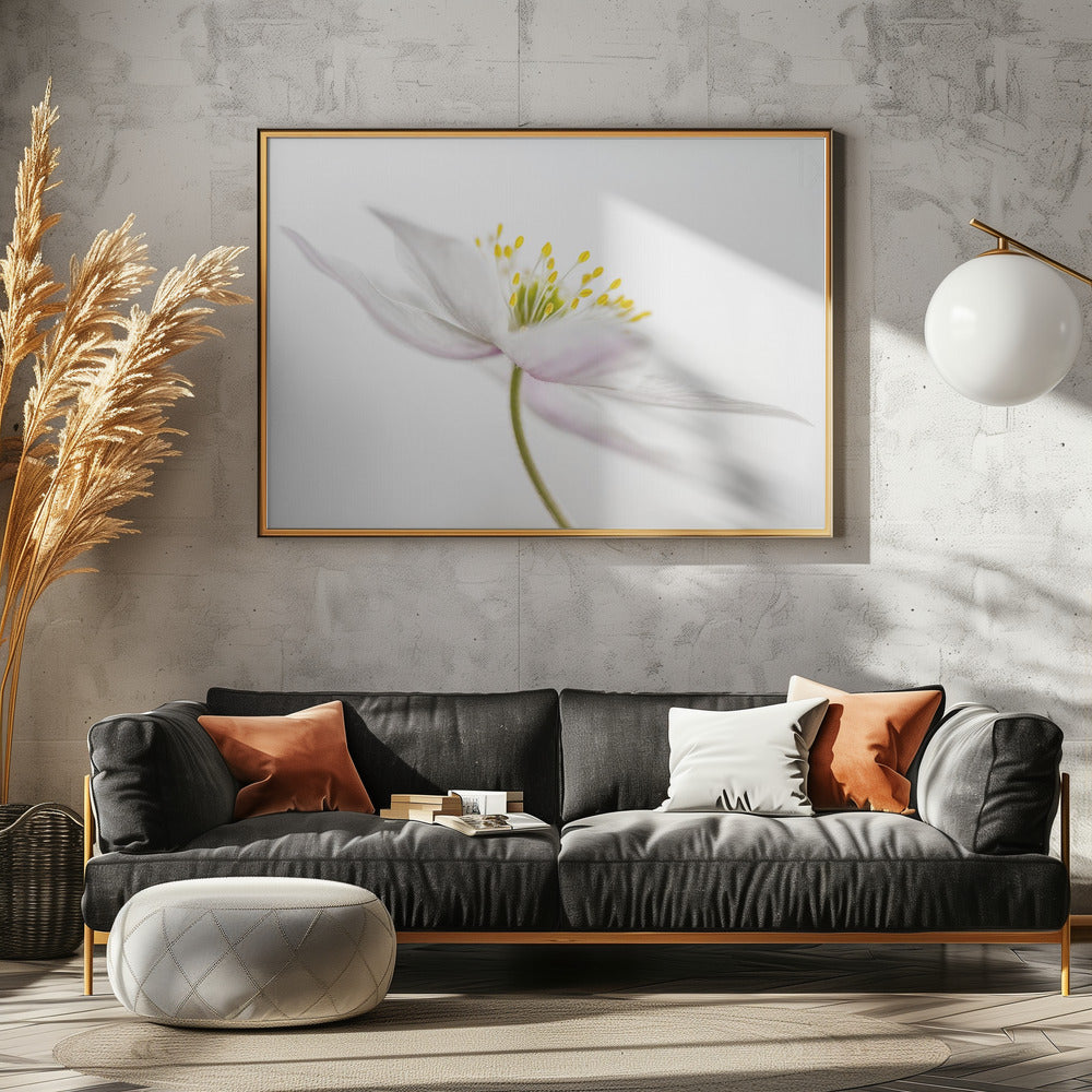 Nemorosa** | Canvas