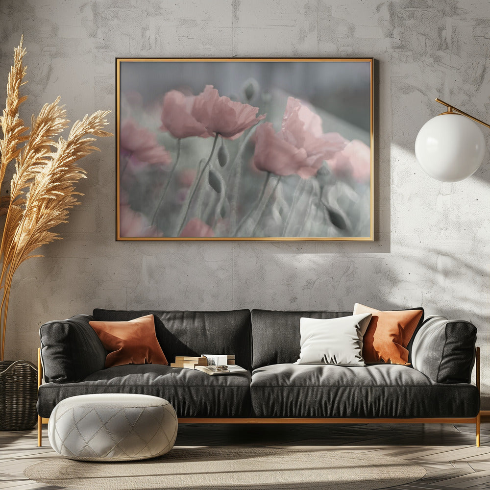 Softly | Canvas