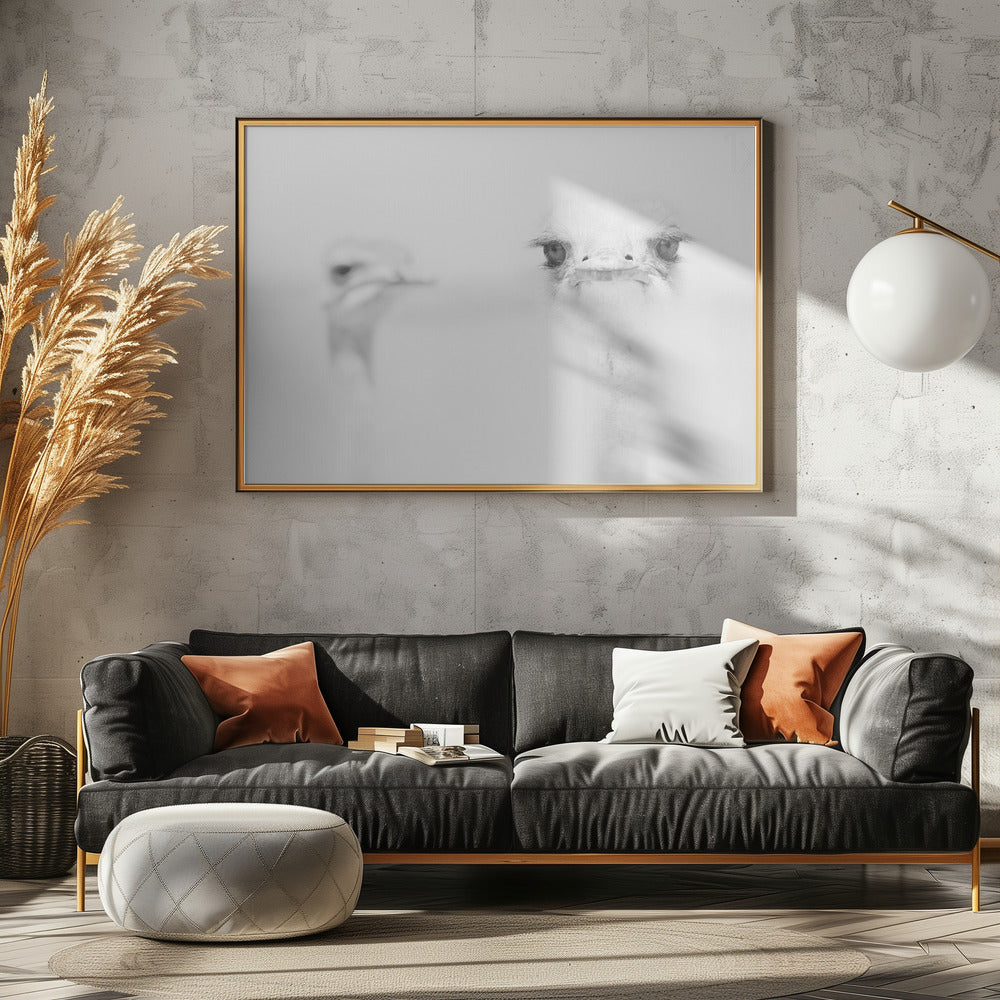 Funny ostrich | Canvas