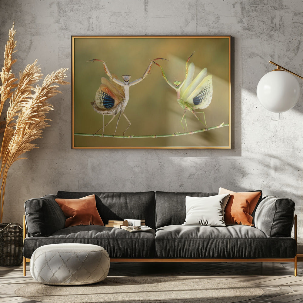 Show Time | Canvas