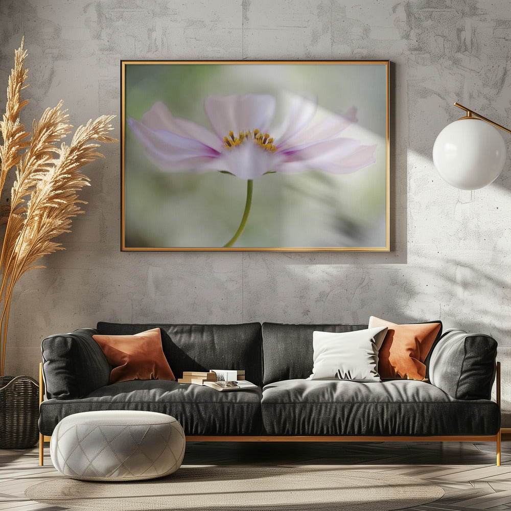 Cosmos Cloud | Canvas