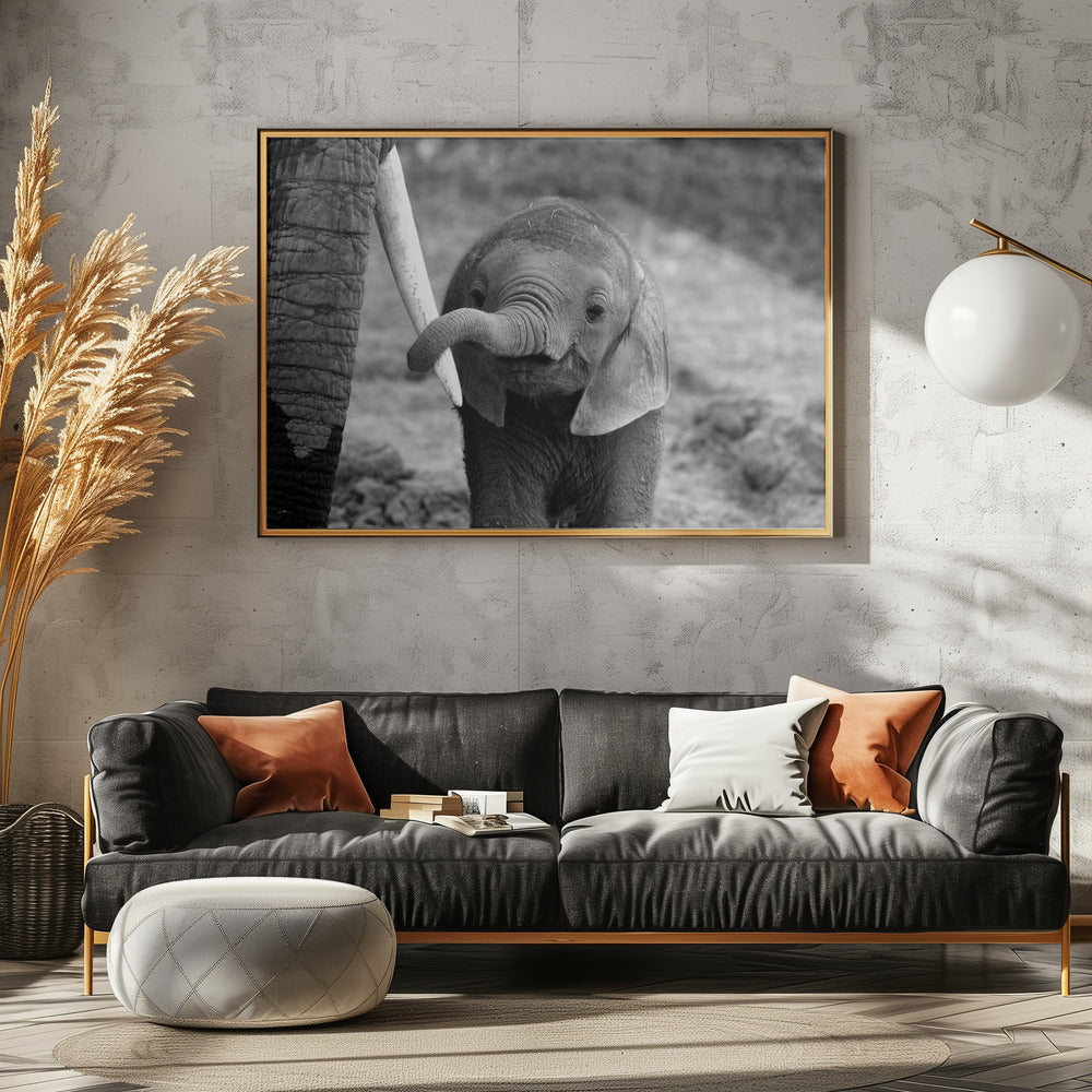 Close | Canvas