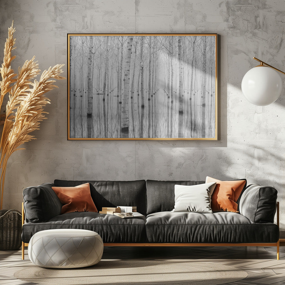Novembre 2014 | Canvas