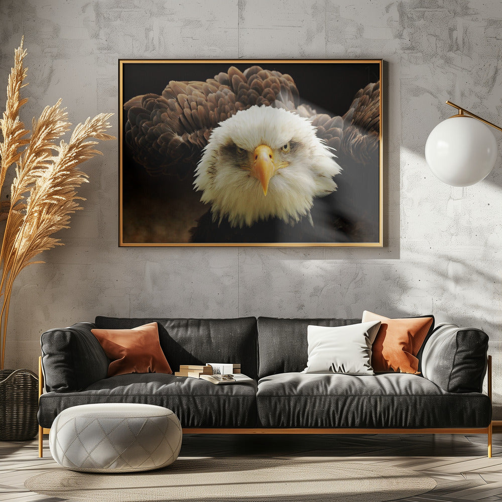 The Judge | Canvas