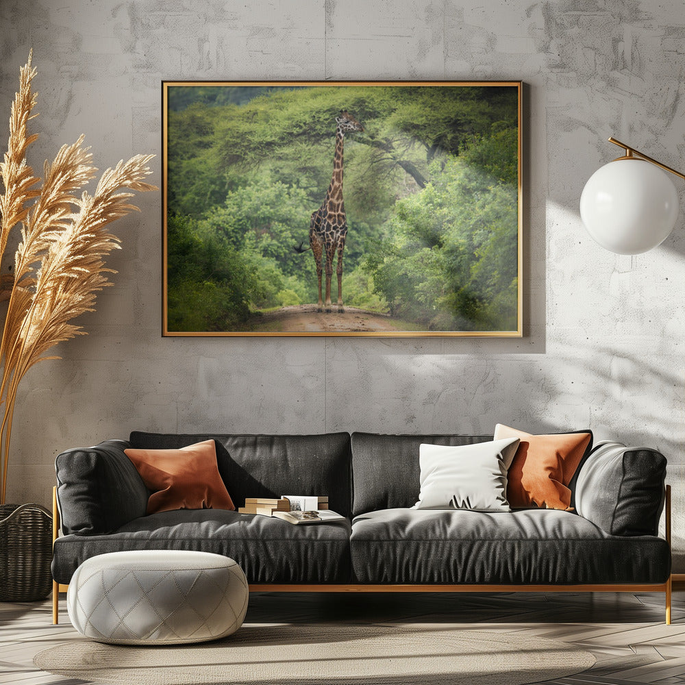 unexpected meeting | Canvas