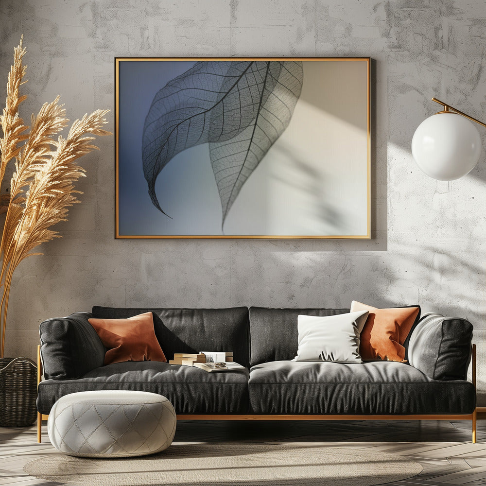 Cavatina | Canvas