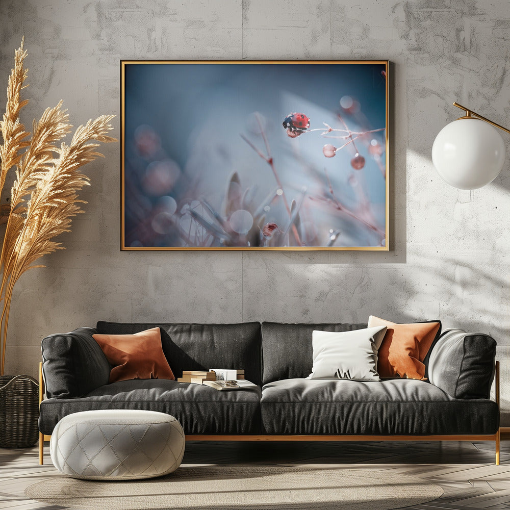High Diving | Canvas