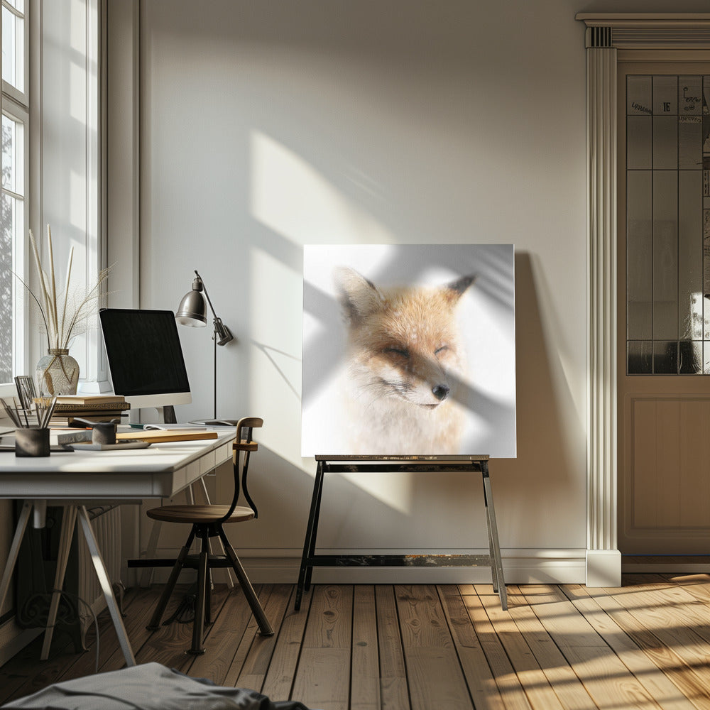 Satisfied | Canvas