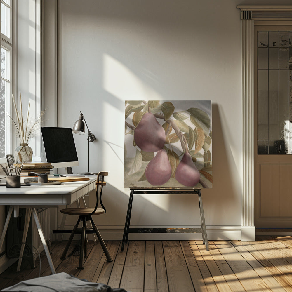 Max Red Bartlett Pears | Canvas