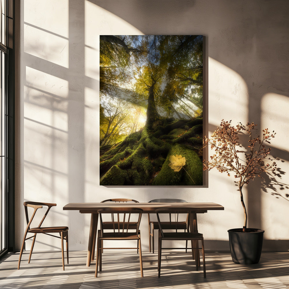 The goodbye of a leaf | Canvas