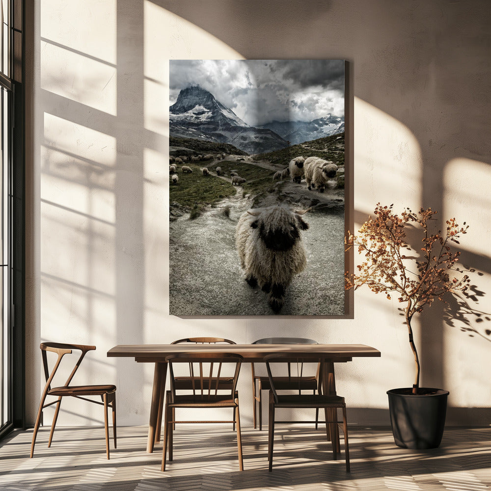 Out of my way | Canvas