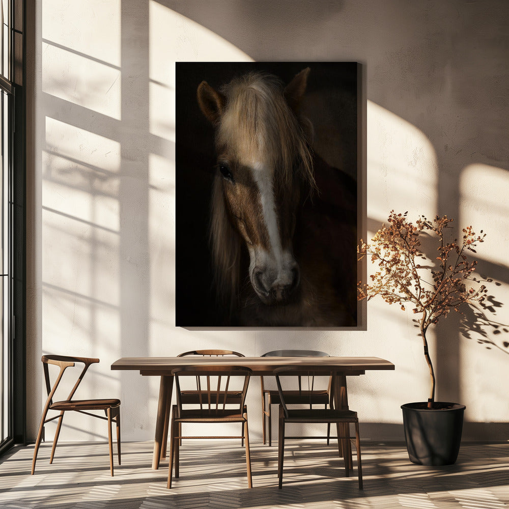Sapience | Canvas