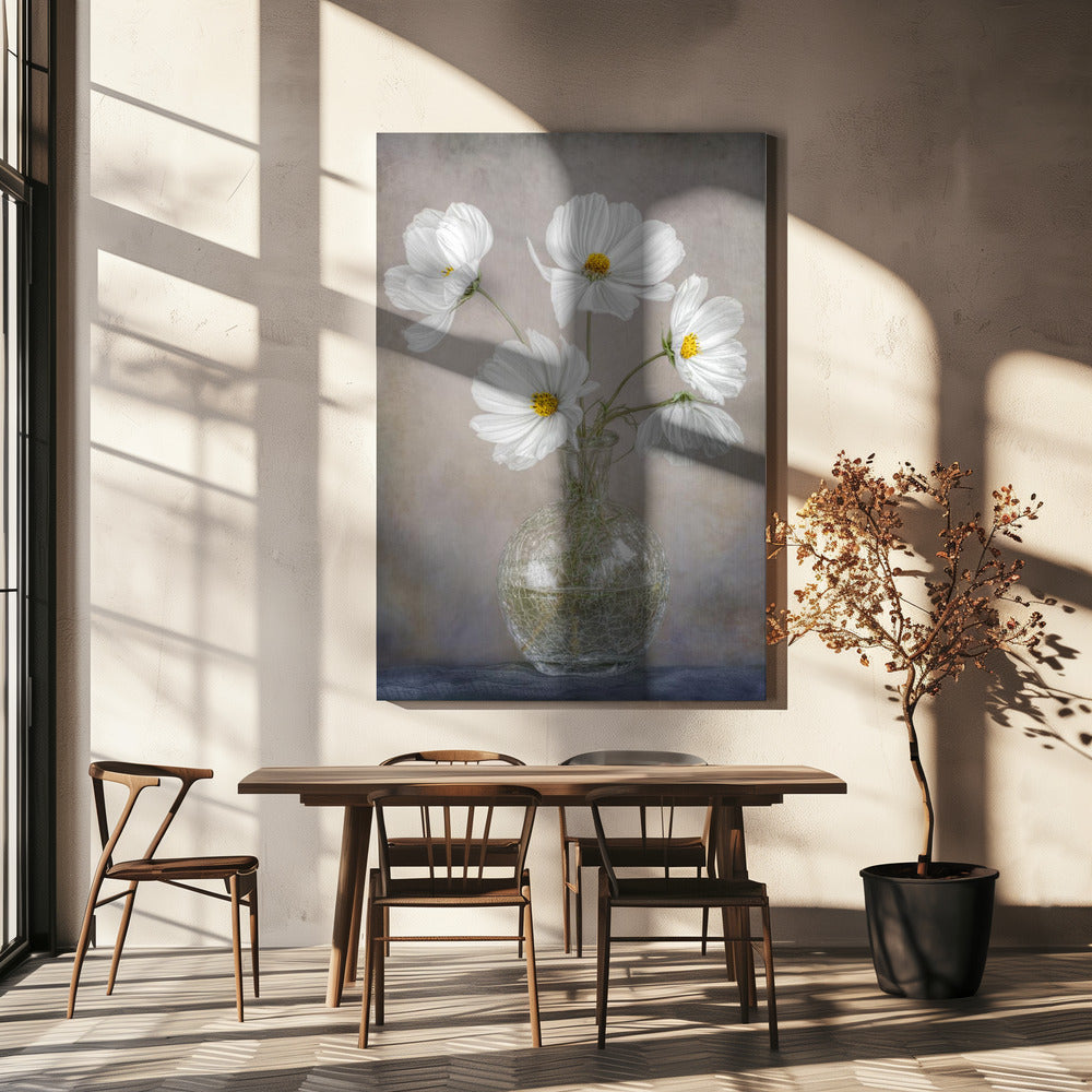 Simply Cosmos | Canvas