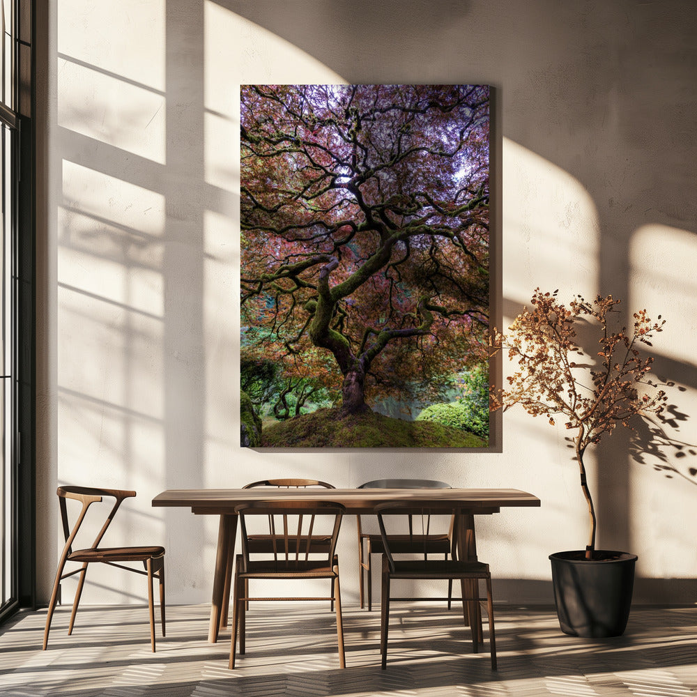 Japanese Maple Tree | Canvas