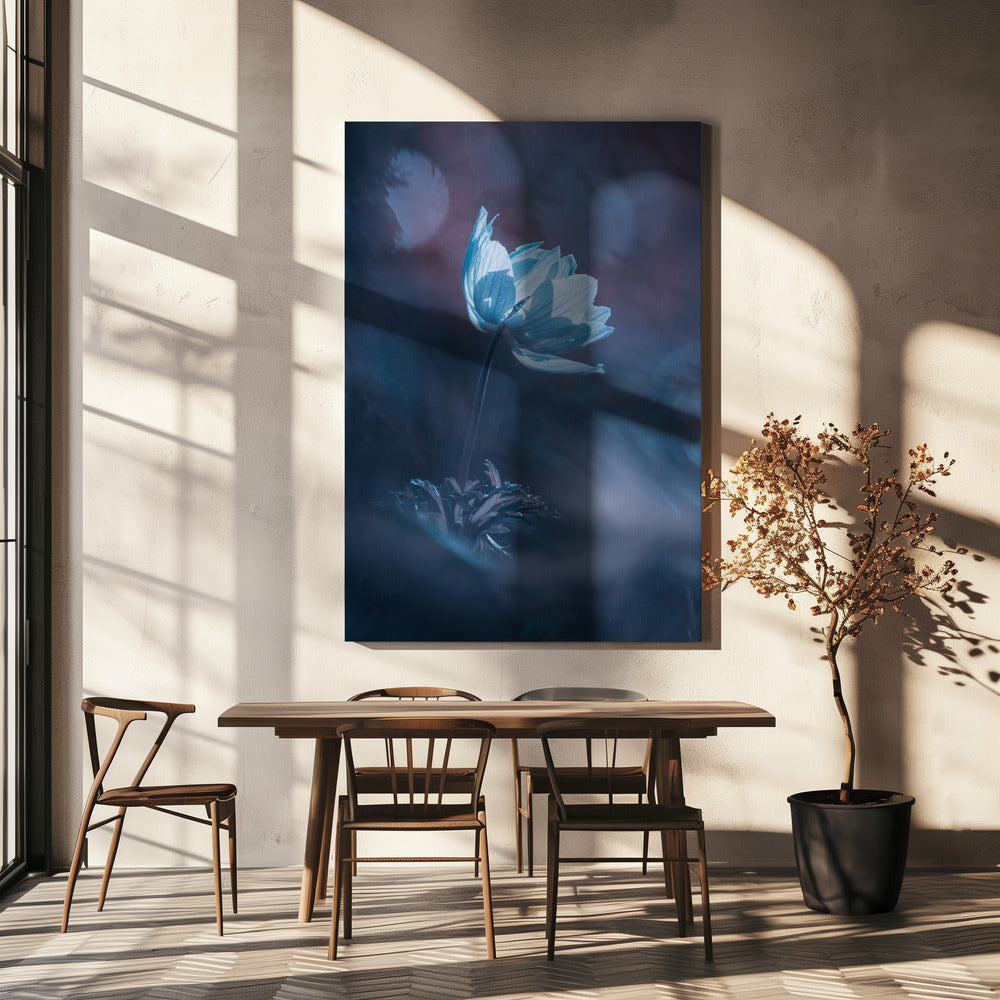 Dream on | Canvas