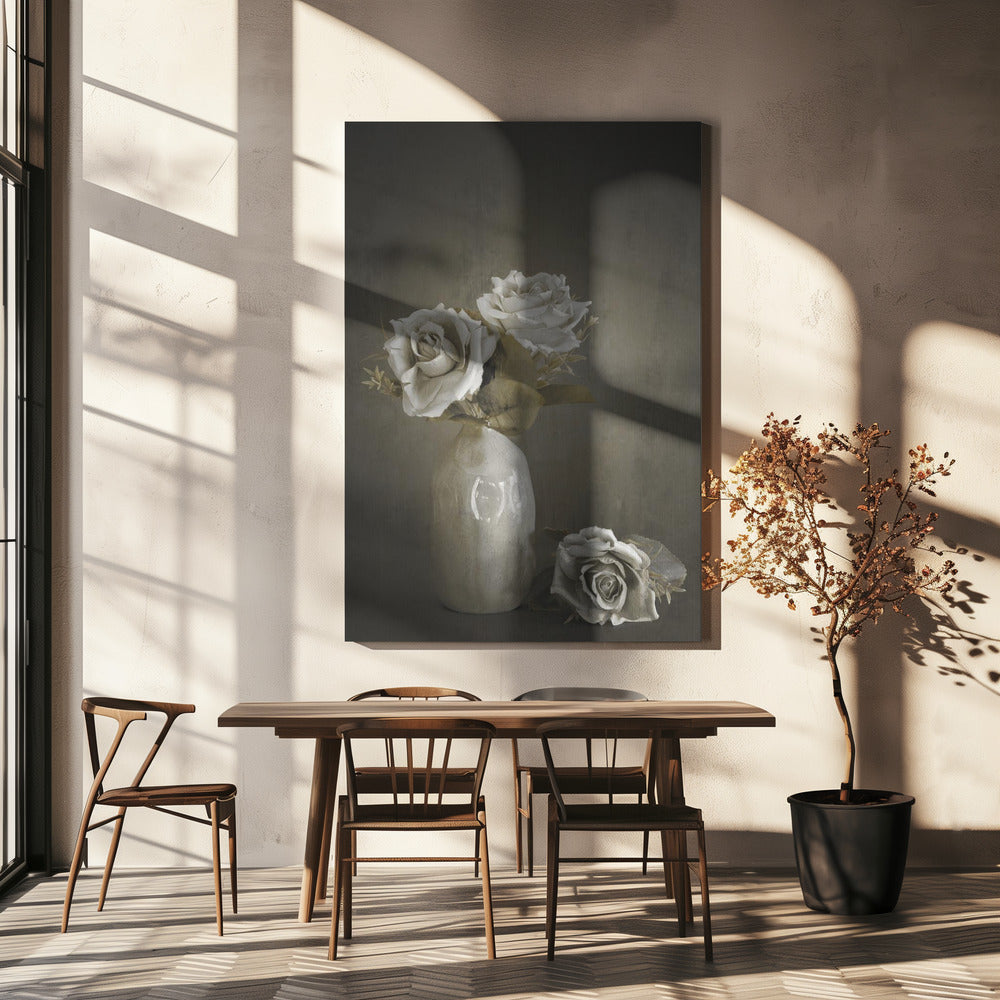 Softened | Canvas