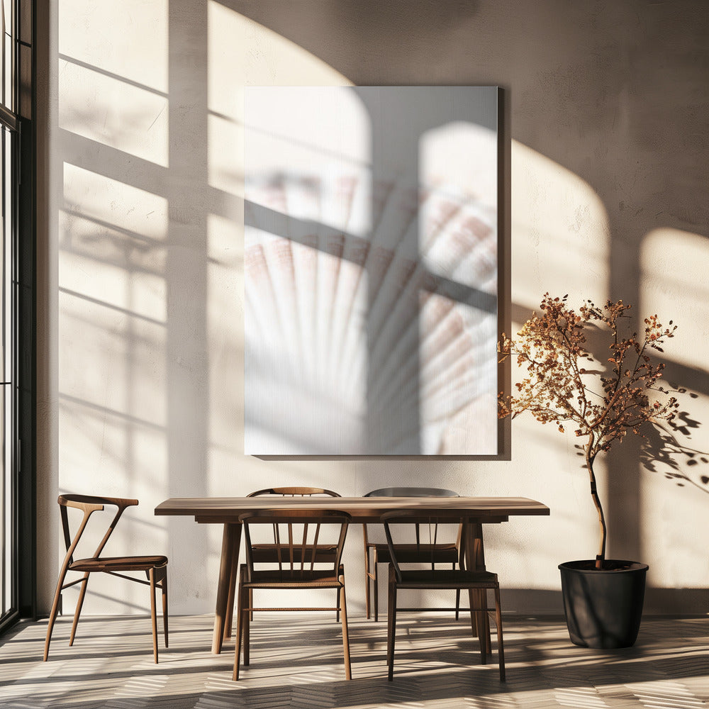 Shell | Canvas