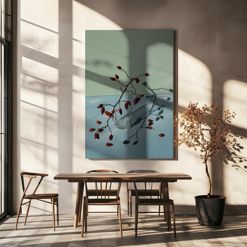 Light & shadow | Canvas