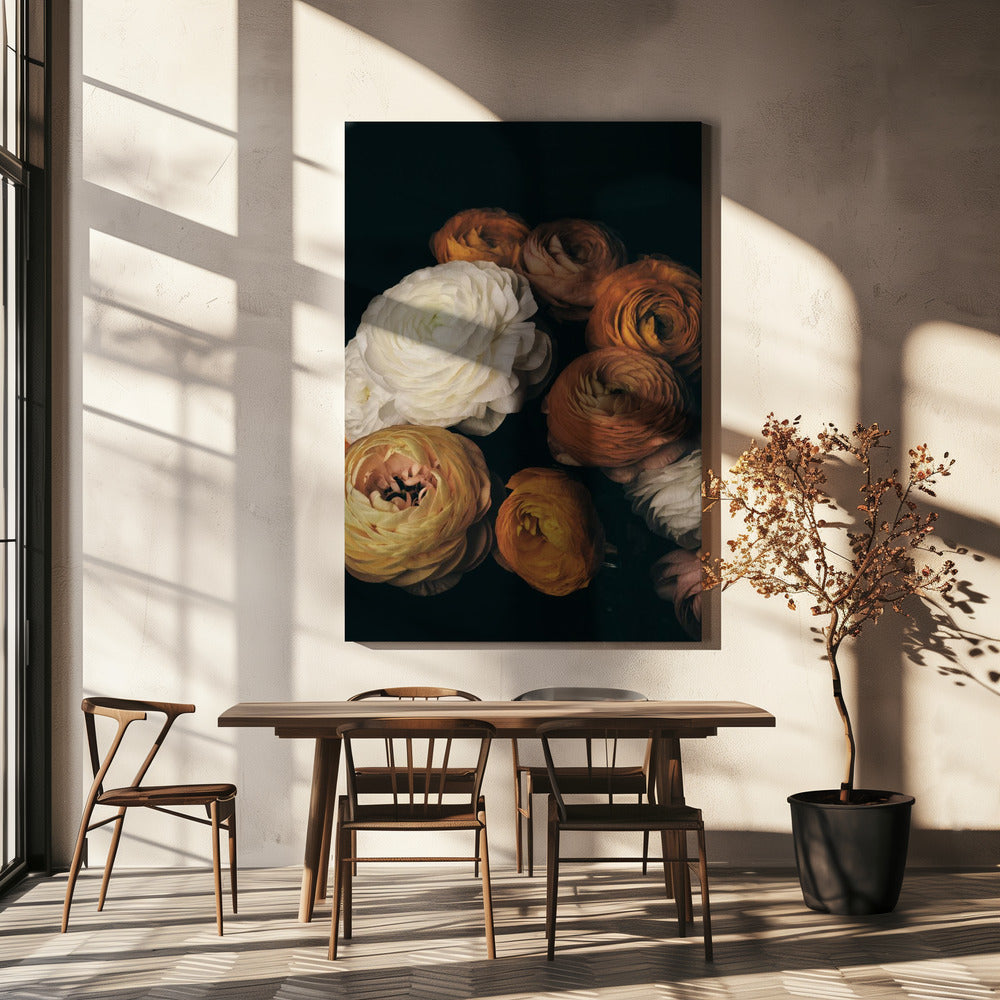 Ranunculus | Canvas
