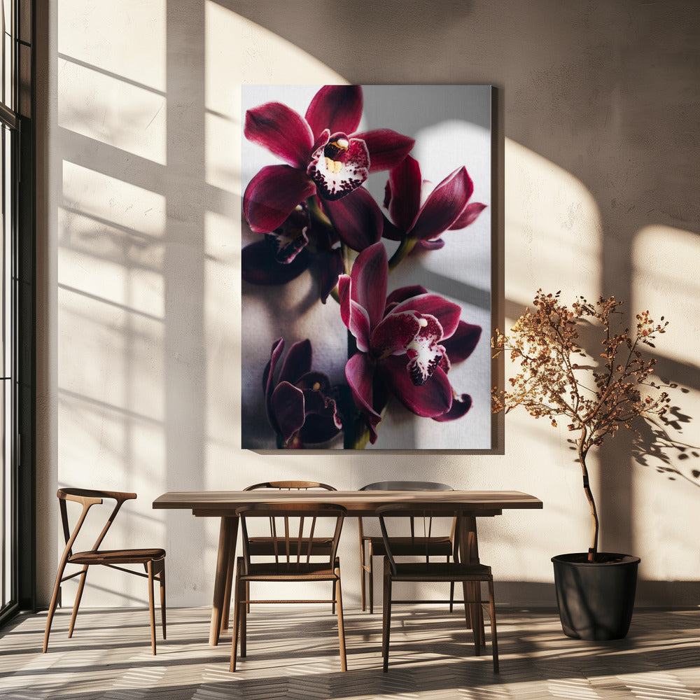 Orchid Elegance | Canvas