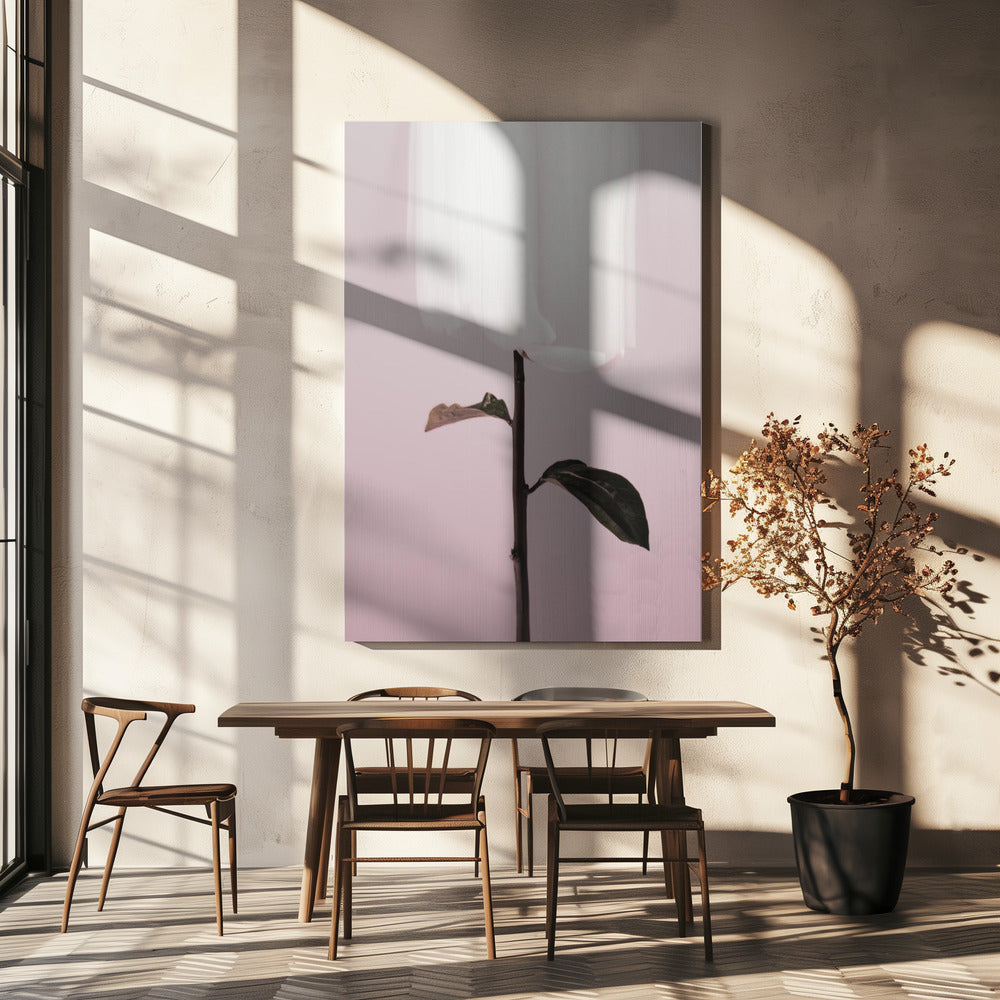 Peony 19 | Canvas