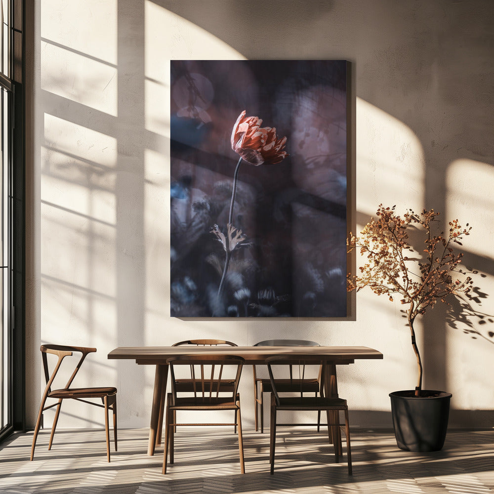 Elegance | Canvas