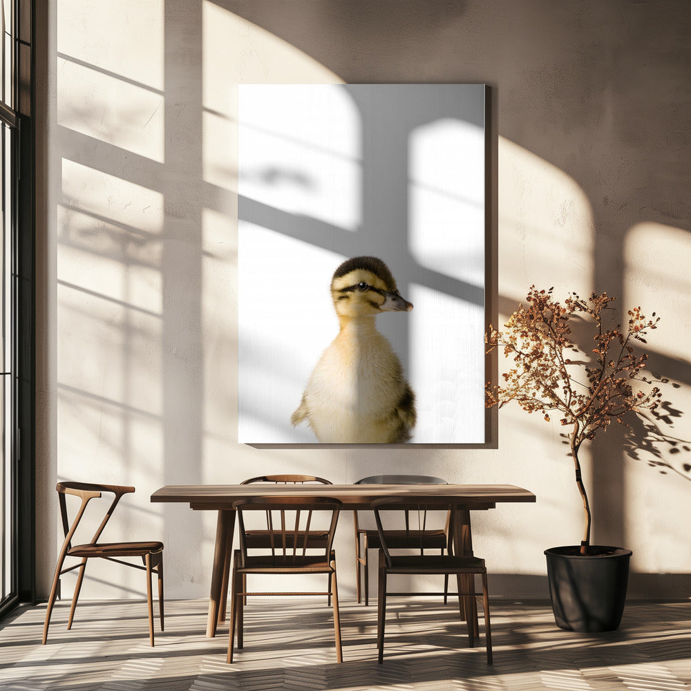 Baby Duck | Canvas